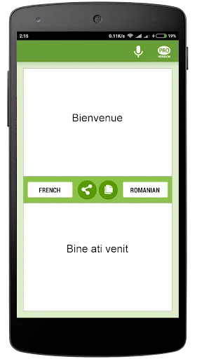 Traducteur français-roumain