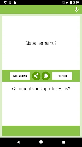 Indonesian-French Translator