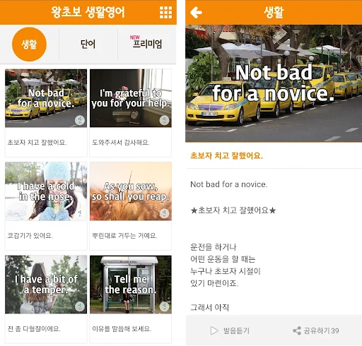 왕초보 생활영어