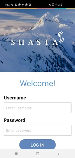 Shasta View