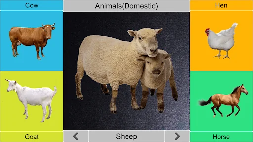 Kids Picture Book