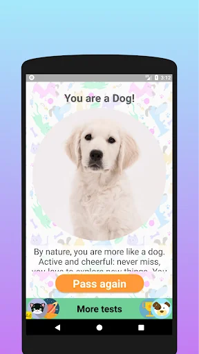 Are you a dog or a cat? Test screenshot 4