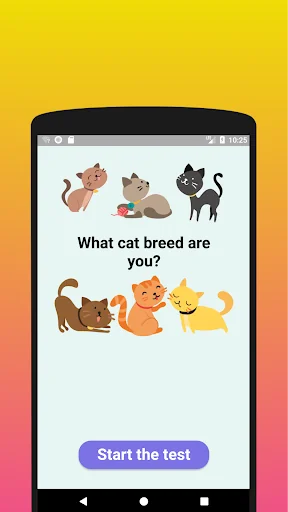 What cat breed are you? Test