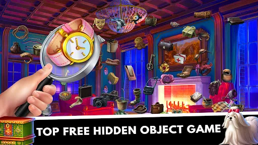 Hidden Object : Mystery Castle