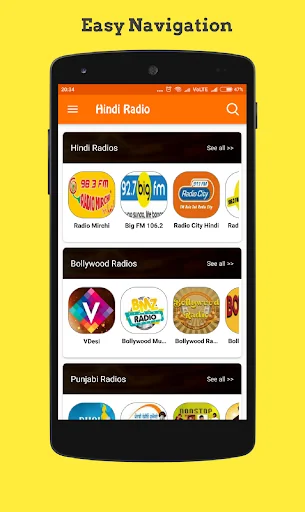 Hindi Radio Online screenshot 4