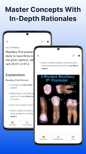 NBDHE - Dental Hygiene Mastery screenshot 3
