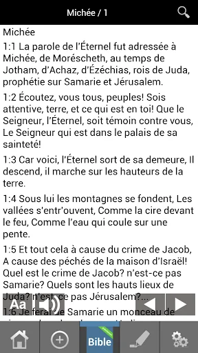 Louis Segond French Bible screenshot 3