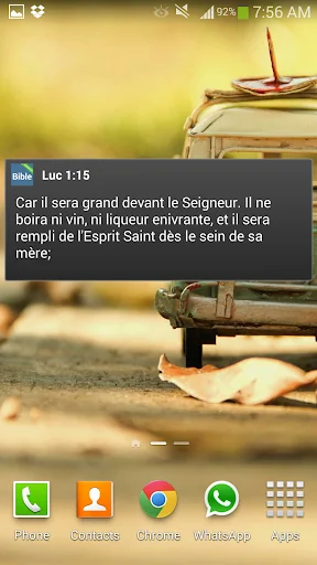 Louis Segond French Bible screenshot 4