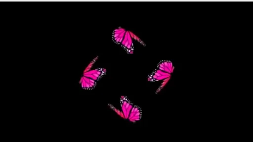 Holapex Hologram Video Maker screenshot 1