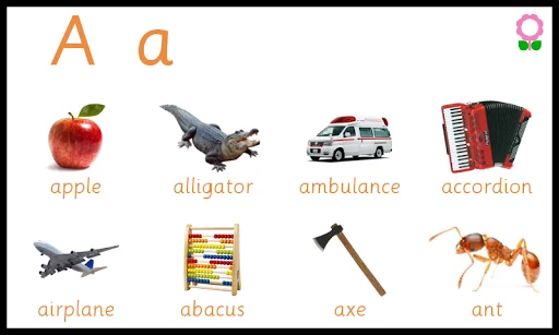 ABC Alphabets Kids Vocabulary