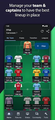 Fantasy Football Manager Pro