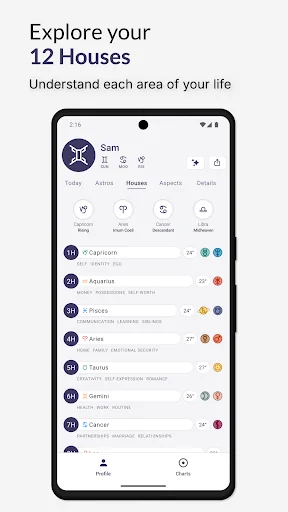 Horos - Birth Chart screenshot 3