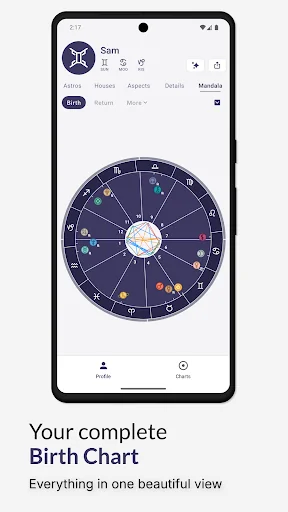 Horos - Birth Chart screenshot 4