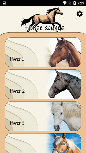 Horse Sounds