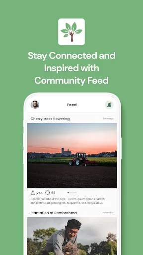 My Farm