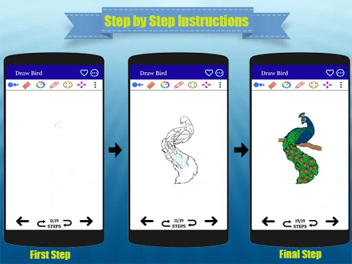 How to Draw a Bird Easy