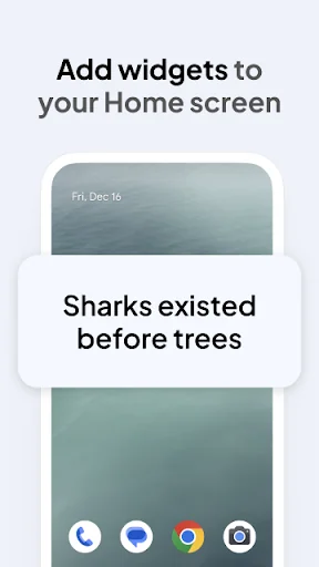 Daily Random Facts screenshot 3