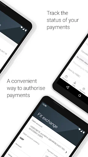 HSBCnet Mobile
