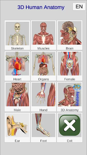 3D Bones and Organs (Anatomy) screenshot 1