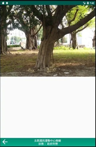 台中老樹地圖 screenshot 3