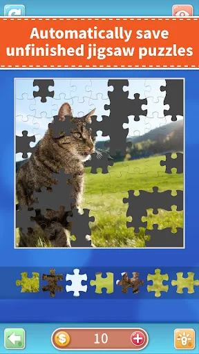 Jigsaw Puzzles - Many themes screenshot 4