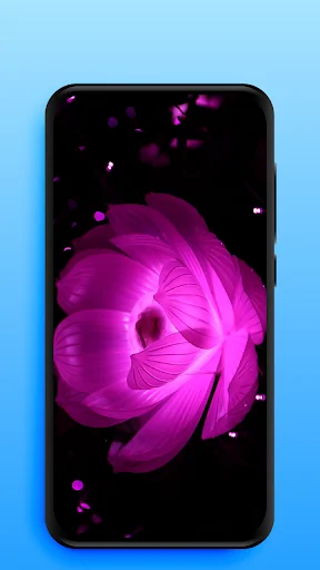 Video Live Wallpapers