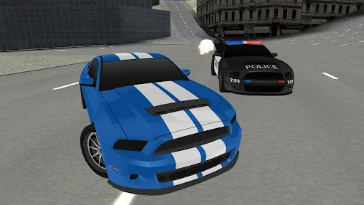Police VS Robbers 3