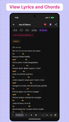 Nepali Lyrics, Chords & Radio screenshot 3
