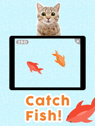 Games for Cats!