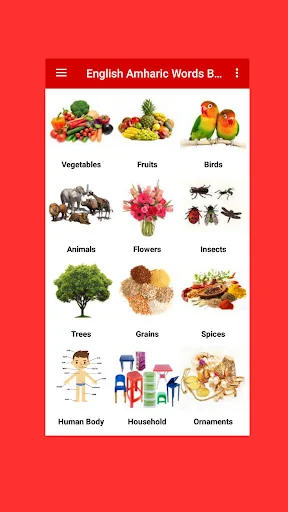 Amharic Word Book