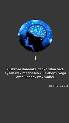 ifiyaha Nolosha
