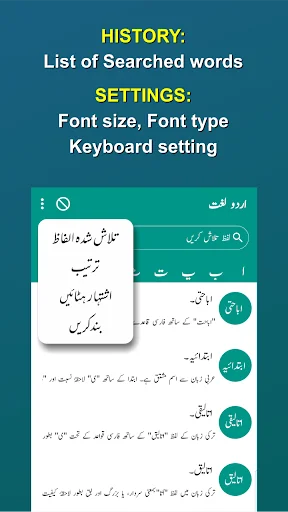 Offline Urdu Lughat Dictionary screenshot 1