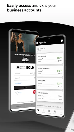 Meritrust Business