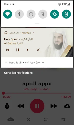 Holy Quran by Khalid Al Jalil  screenshot 4