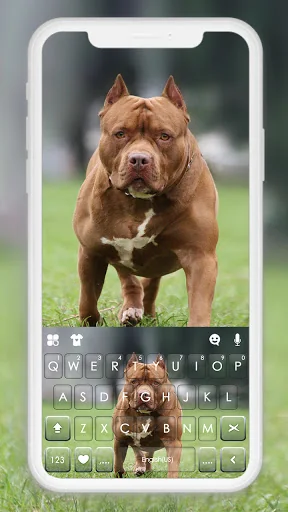 Cool Pitbull Keyboard Backgrou