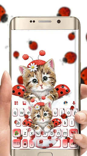 Cute Ladybird Kitten Keyboard 