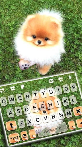 Cute Puppy Pom Keyboard Backgr