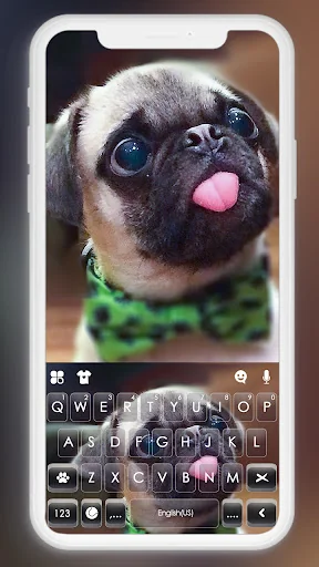 Cute Tongue Pug Keyboard Backg