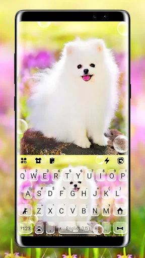 Cute White Dog Keyboard Backgr screenshot 1