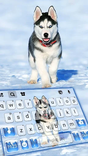 Ice Husky Keyboard Background