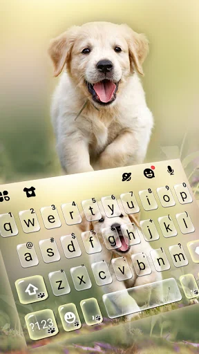 Labrador Puppy Keyboard Backgr