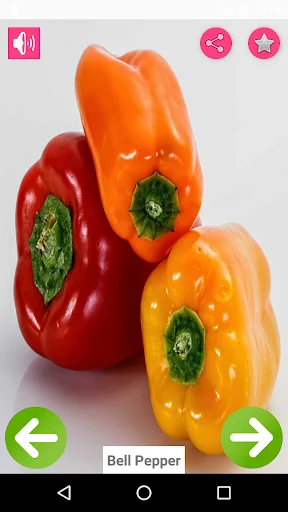 Vegetables Name with Pictures screenshot 1