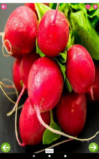 Vegetables Name with Pictures screenshot 3
