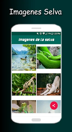 Images of the jungle - Natural