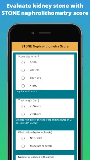 Kidney Stone Scoring
