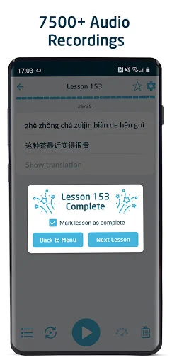 Immersive Chinese screenshot 3