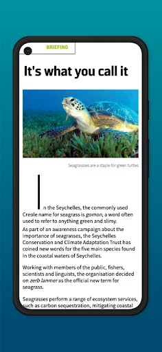 DIVE Magazine screenshot 2