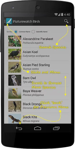 iNaturewatch Birds screenshot 2