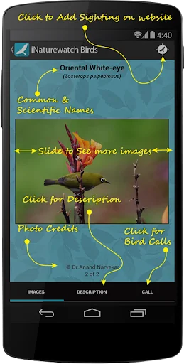 iNaturewatch Birds screenshot 3