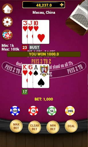 Blackjack 21 - Classic screenshot 3